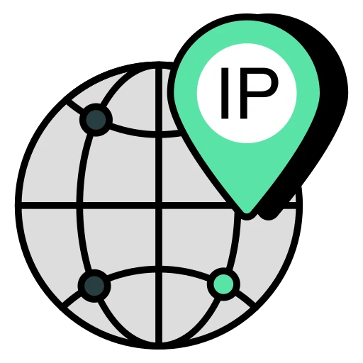 IP Address