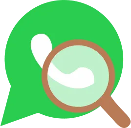 features icon